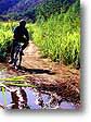 Disfruta del mas divertido tour en Huatulco... y con�ctate con la emoci�n y la naturaleza