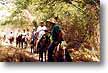Al cruzar la selva se pueden encontrar interesantes especies vegetales las cuales son mencionadas por los gu�as