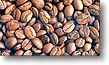 En este lugar se puede degustar el famoso caf� pluma